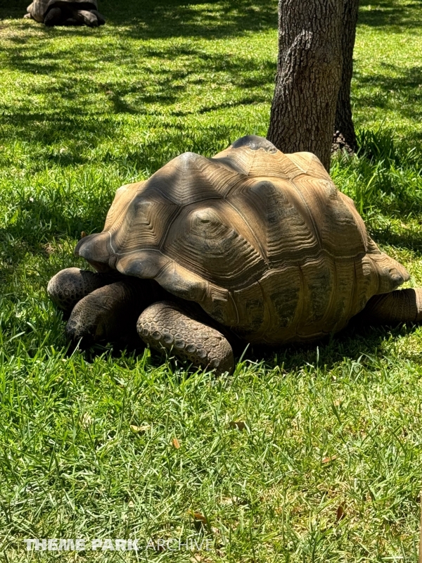 Aldabra Island at SeaWorld San Antonio