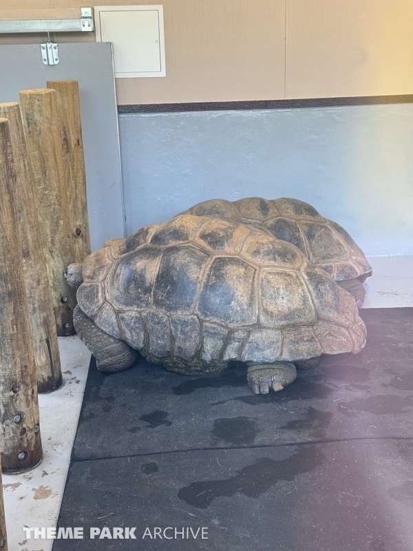 Aldabra Island at SeaWorld San Antonio