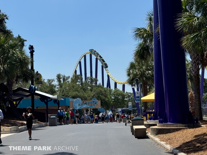 Steel Eel at SeaWorld San Antonio