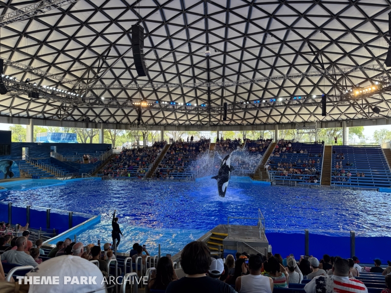 Shamu Theater at SeaWorld San Antonio