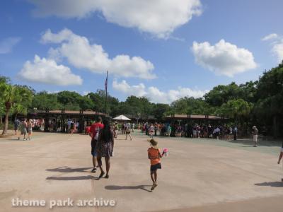 Disney's Animal Kingdom