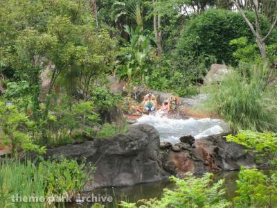 Disney's Animal Kingdom