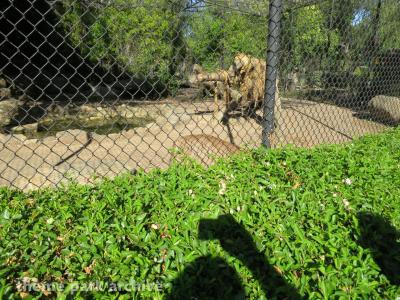 Six Flags Discovery Kingdom