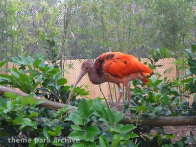 SeaWorld San Antonio