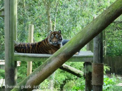 Chessington World of Adventures Resort