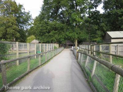 Drayton Manor