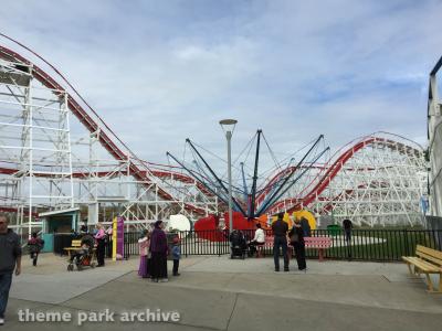 Stricker's Grove