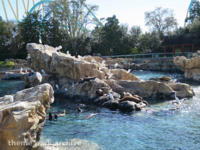 SeaWorld Orlando