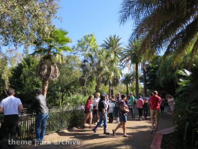 Busch Gardens Tampa