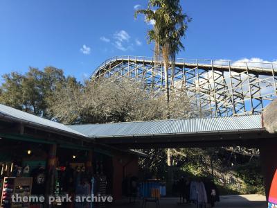 Busch Gardens Tampa