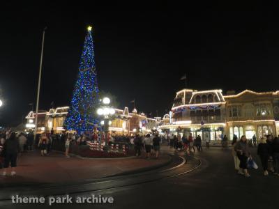 Magic Kingdom