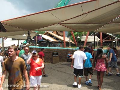 Busch Gardens Tampa