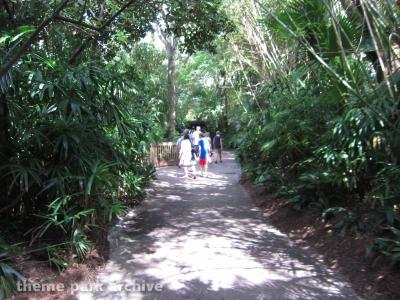 Busch Gardens Tampa