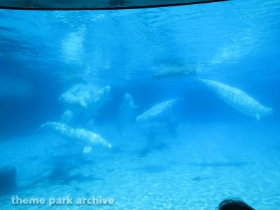 Marineland