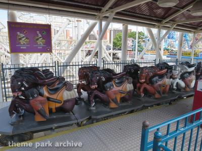 Luna Park at Coney Island