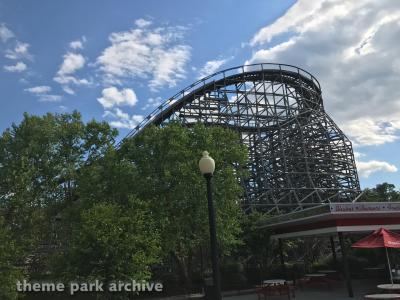 Twisted Timbers