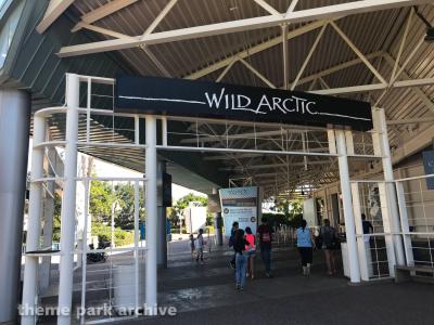 Wild Arctic