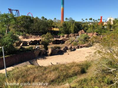 Busch Gardens Tampa