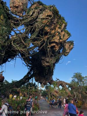 Disney's Animal Kingdom