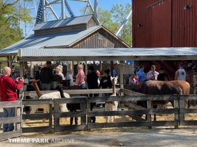 Cedar Point