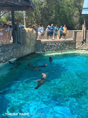 SeaWorld San Antonio