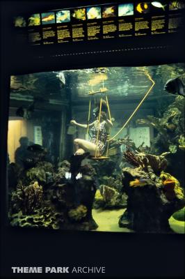 World of the Sea Aquarium