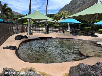 Sea Life Park Hawaii