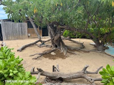 Sea Life Park Hawaii