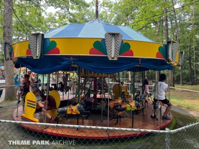 Mini Merry Go Round